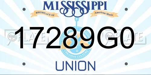 17289G0 Mississippi License Plate