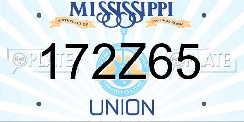 172Z65 Mississippi License Plate