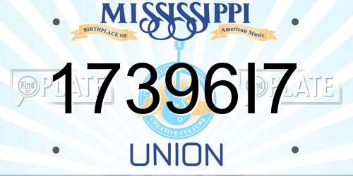 17396I7 Mississippi License Plate