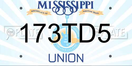 173TD5 Mississippi License Plate