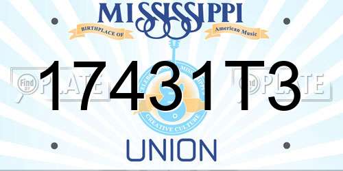 17431T3 Mississippi License Plate