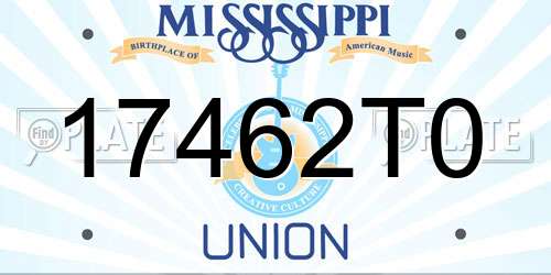 17462T0 Mississippi License Plate