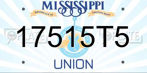 17515T5 Mississippi License Plate