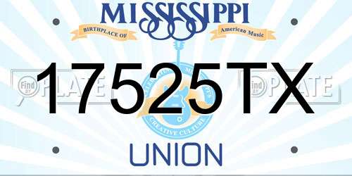17525TX Mississippi License Plate