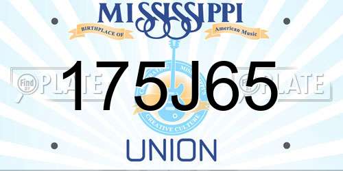 175J65 Mississippi License Plate