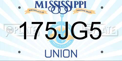 175JG5 Mississippi License Plate