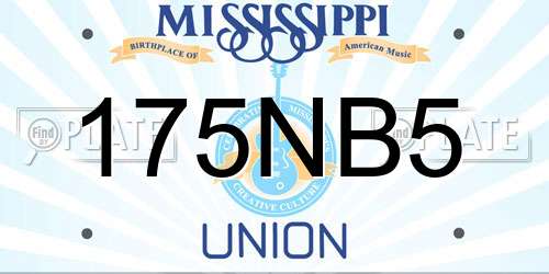 175NB5 Mississippi License Plate