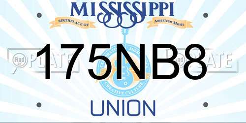 175NB8 Mississippi License Plate