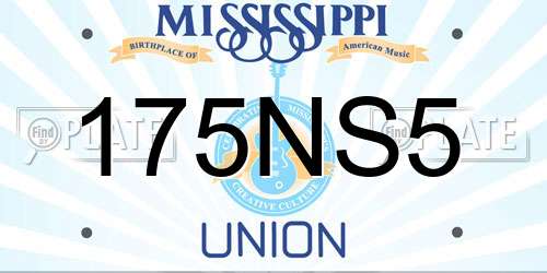 175NS5 Mississippi License Plate
