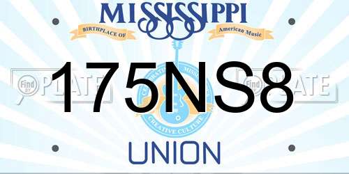 175NS8 Mississippi License Plate