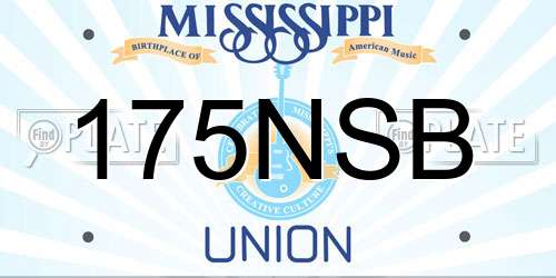 175NSB Mississippi License Plate