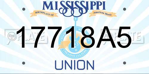 17718A5 Mississippi License Plate