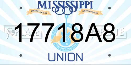 17718A8 Mississippi License Plate