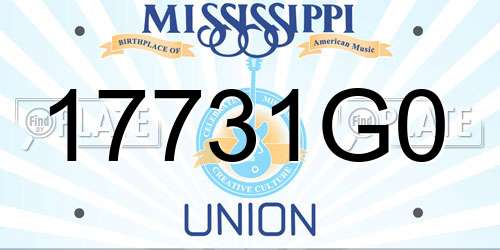 17731G0 Mississippi License Plate