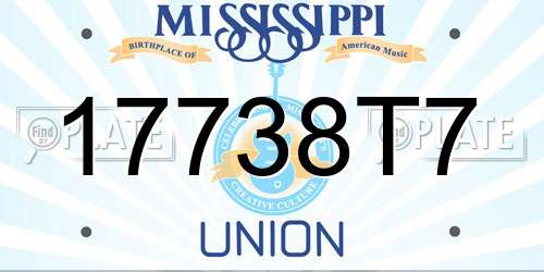 17738T7 Mississippi License Plate