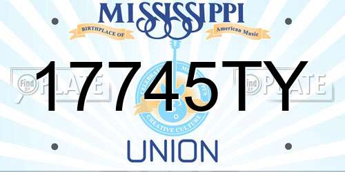 17745TY Mississippi License Plate
