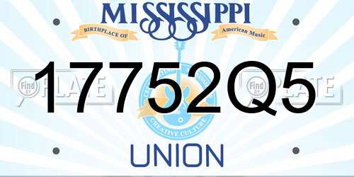 17752Q5 Mississippi License Plate