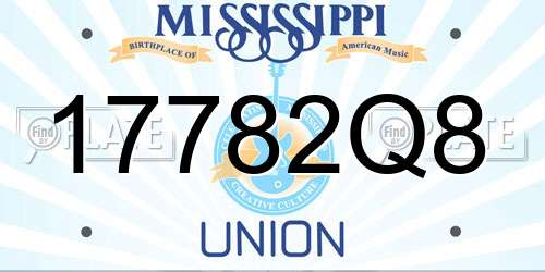 17782Q8 Mississippi License Plate