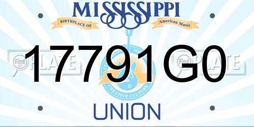 17791G0 Mississippi License Plate