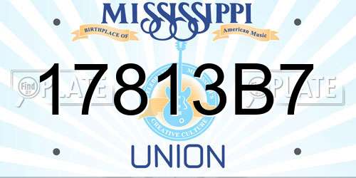 17813B7 Mississippi License Plate