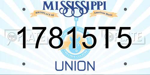 17815T5 Mississippi License Plate