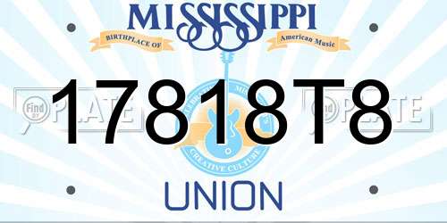 17818T8 Mississippi License Plate