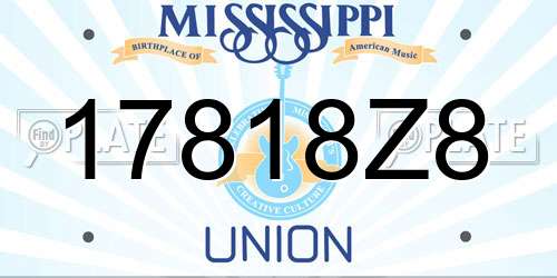 17818Z8 Mississippi License Plate