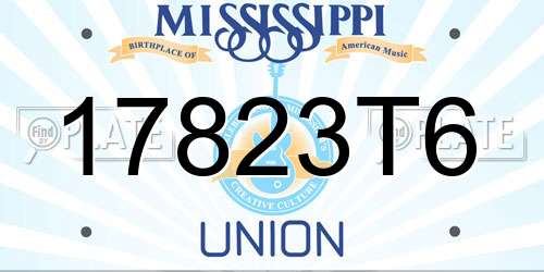 17823T6 Mississippi License Plate