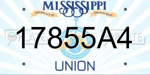17855A4 Mississippi License Plate