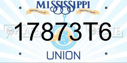 17873T6 Mississippi License Plate