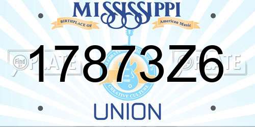 17873Z6 Mississippi License Plate
