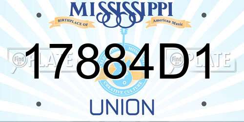 17884D1 Mississippi License Plate