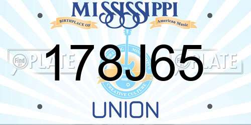 178J65 Mississippi License Plate