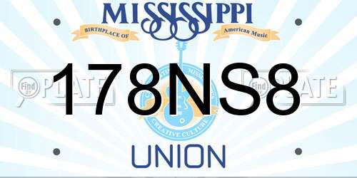 178NS8 Mississippi License Plate