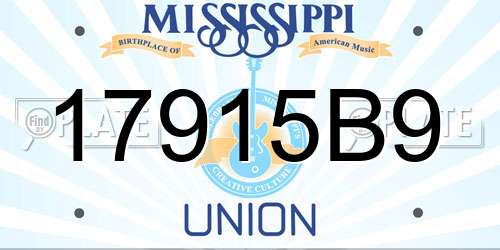 17915B9 Mississippi License Plate