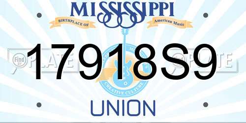 17918S9 Mississippi License Plate