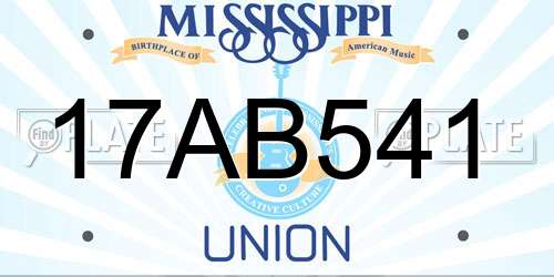 17AB541 Mississippi License Plate