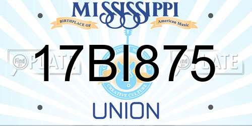 17BI875 Mississippi License Plate