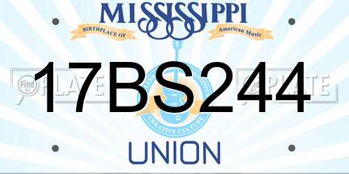 17BS244 Mississippi License Plate