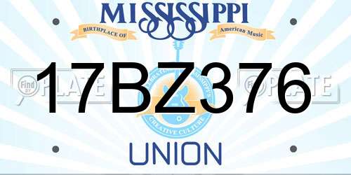 17BZ376 Mississippi License Plate