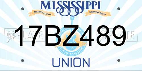 17BZ489 Mississippi License Plate