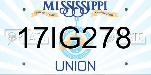 17IG278 Mississippi License Plate