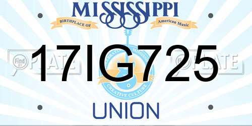 17IG725 Mississippi License Plate