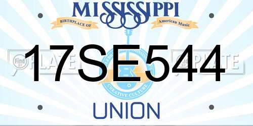 17SE544 Mississippi License Plate