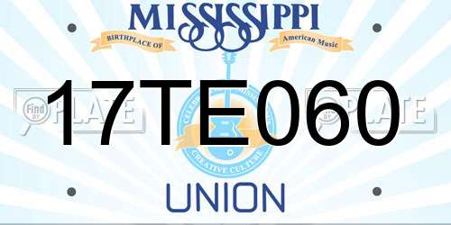 17TE060 Mississippi License Plate