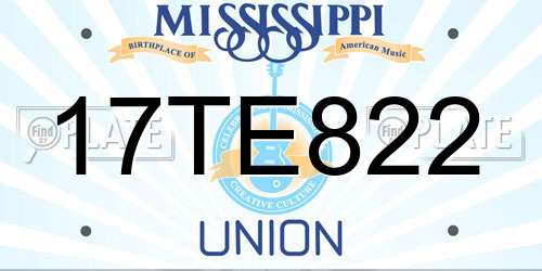 17TE822 Mississippi License Plate
