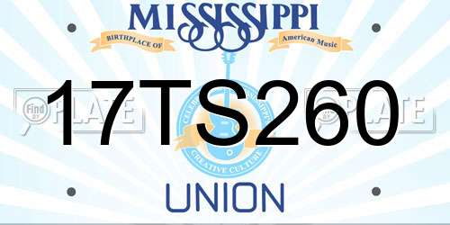 17TS260 Mississippi License Plate