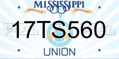 17TS560 Mississippi License Plate