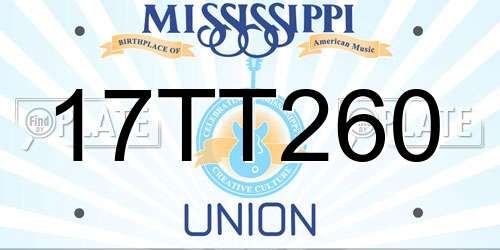 17TT260 Mississippi License Plate