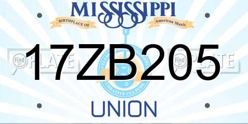 17ZB205 Mississippi License Plate
